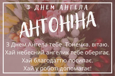 Аналитика и комментарии