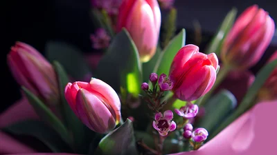 День ангела Антонины: самые праздничные поздравления знакомым