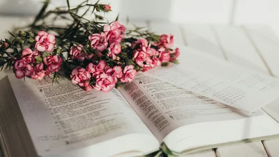 Поздравления со Всемирным днем писателя 2025 в прозе и картинках