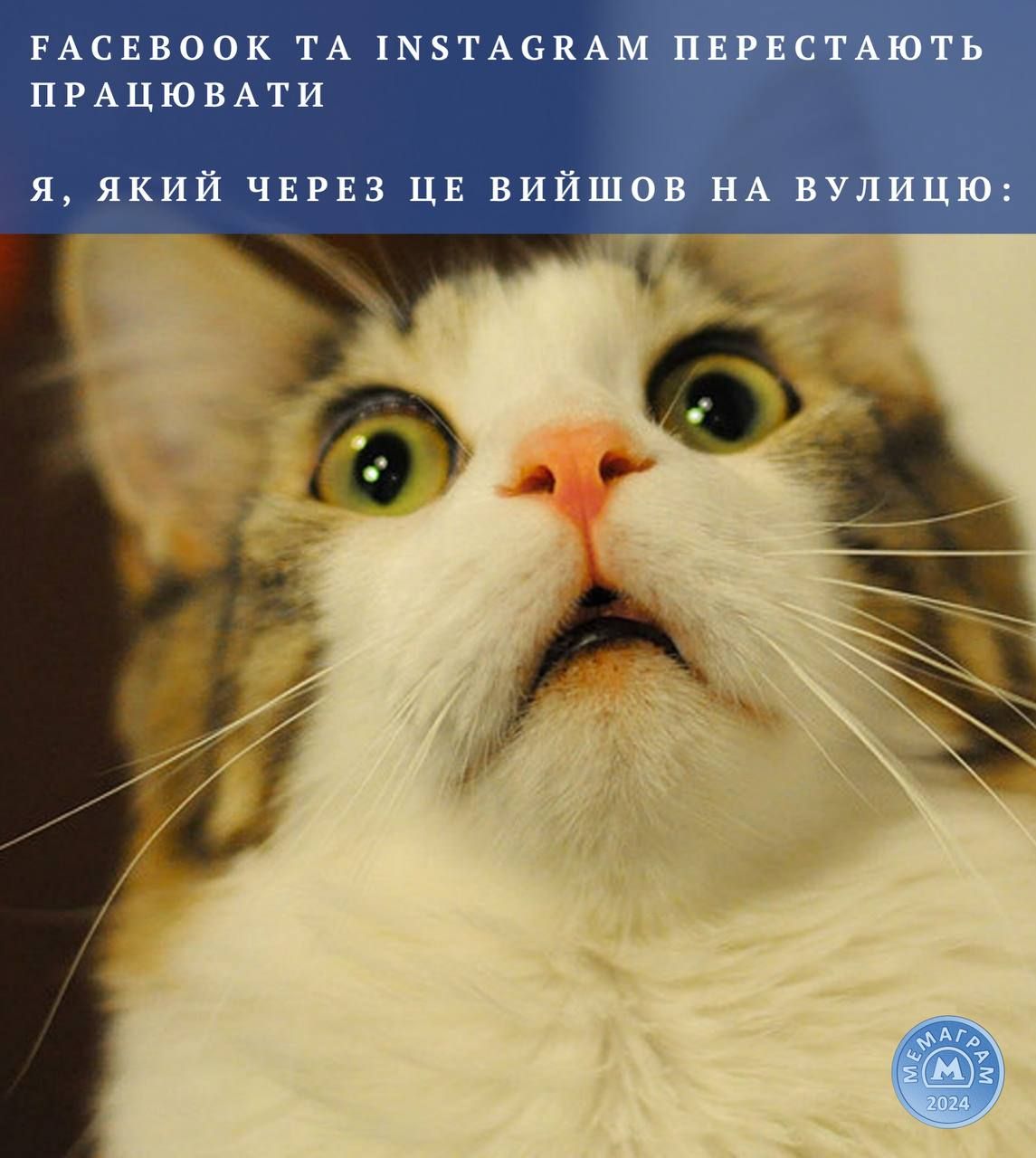 Мемы о сбое в работе Instagram и Facebook, в которых юзеры пытаются сохранять спокойствие - 601407 Мемы о сбое в работе Instagram и Facebook, в которых юзеры пытаются сохранять спокойствие - фото 601407