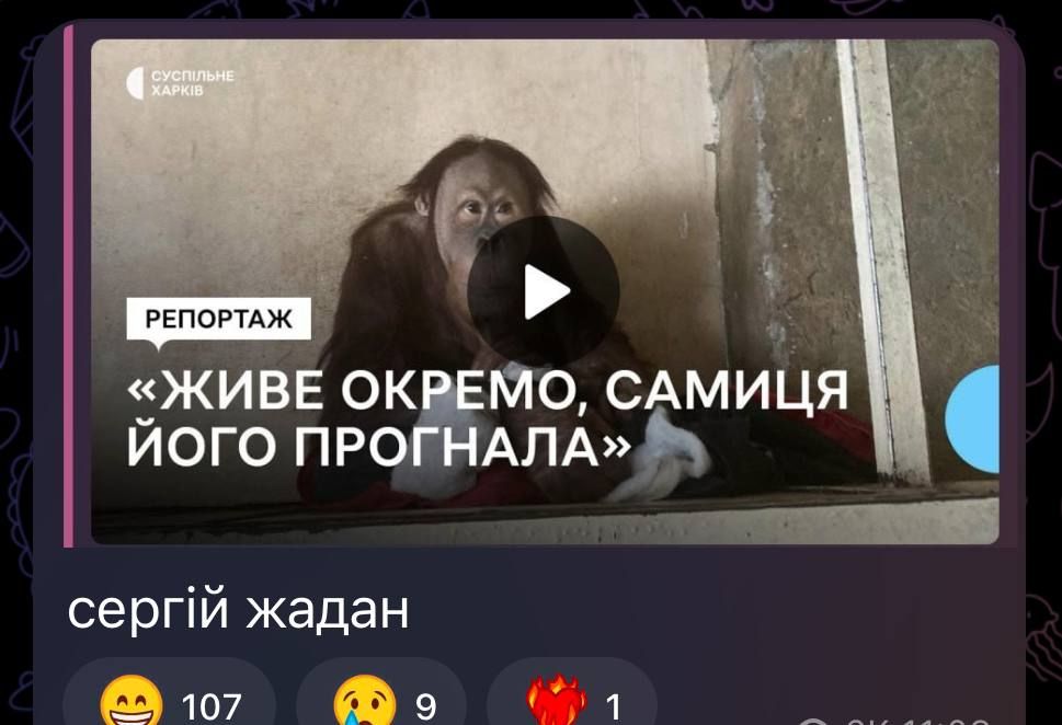 Роман з Жаданом і розбірки з Єфросиніною — тримай меми про інтерв’ю Христини Соловій - фото 601722