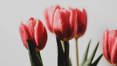 Небанальні привітання з 8 березня своїми словами, які здивують кожну жінку