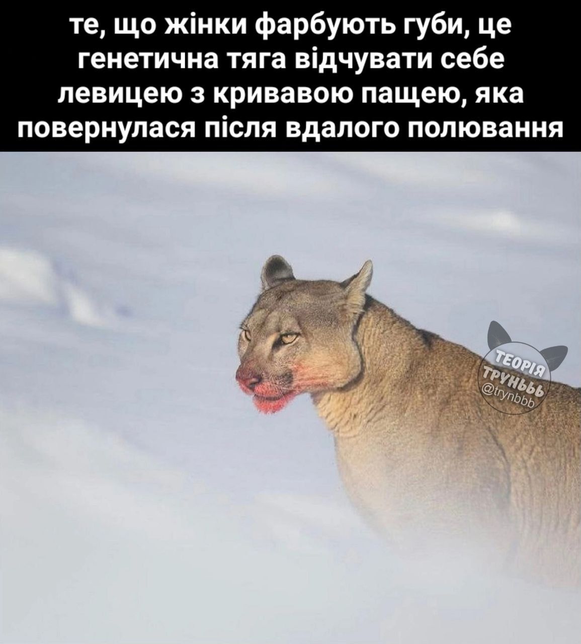 Меми про жінок, стосунки та кохання, в яких ти впізнаєш себе - фото 601954