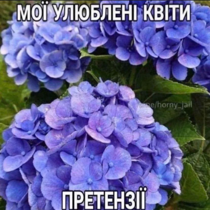 Меми про жінок, стосунки та кохання, в яких ти впізнаєш себе - фото 601955
