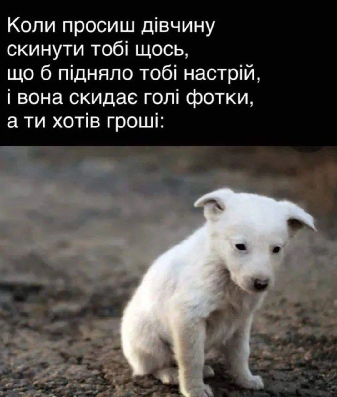 Меми про жінок, стосунки та кохання, в яких ти впізнаєш себе - фото 601962