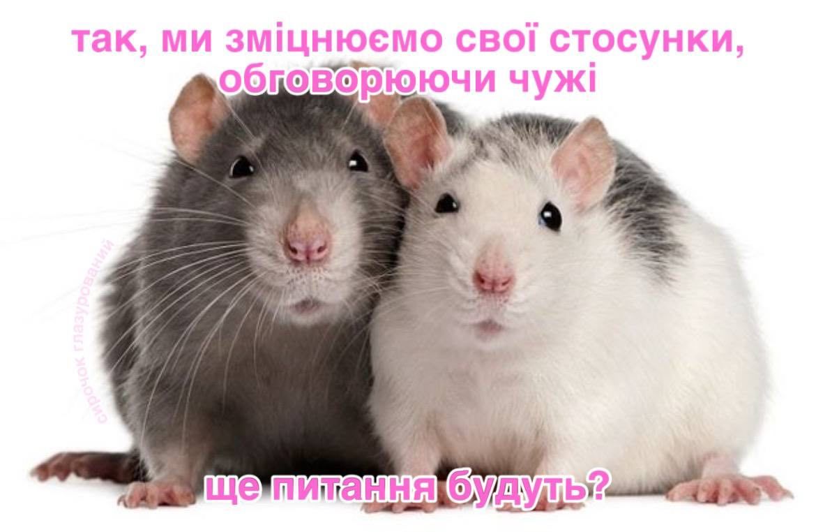 Меми про жінок, стосунки та кохання, в яких ти впізнаєш себе - фото 601972