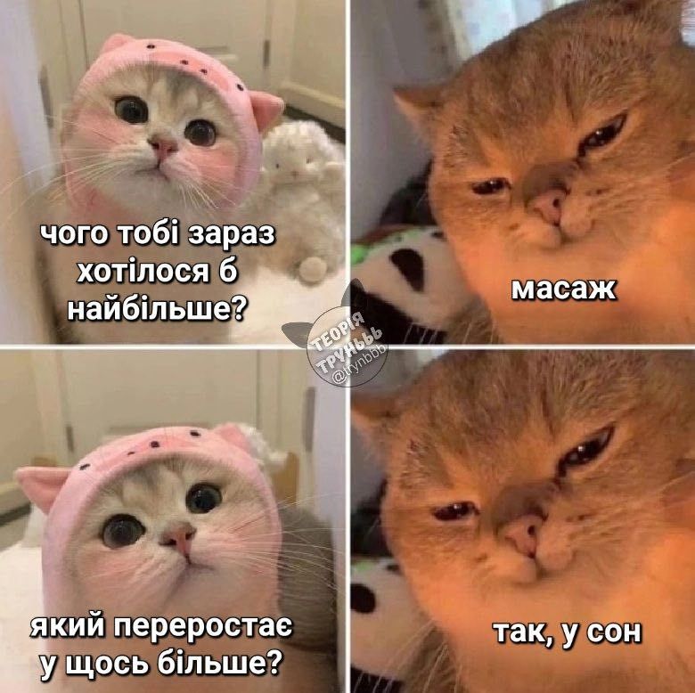 Меми про жінок, стосунки та кохання, в яких ти впізнаєш себе - фото 601974