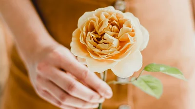 З Днем ангела Христини 2024 - велика підбірка віршів для найкращого привітання