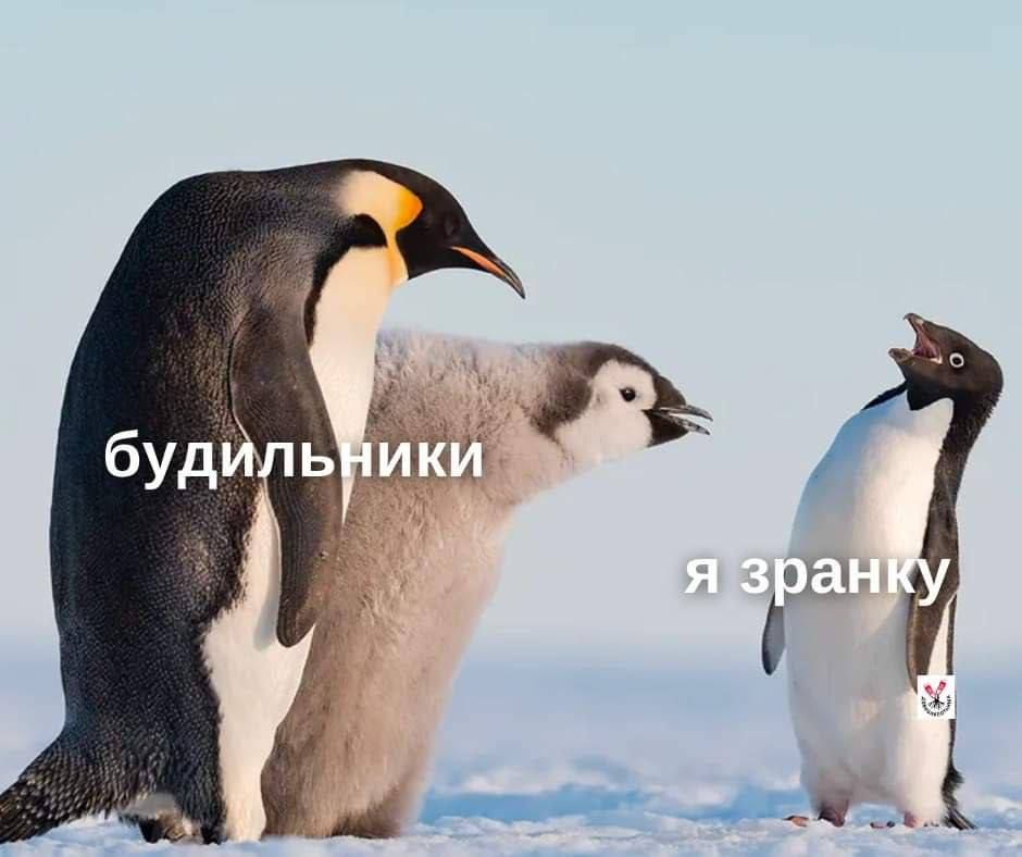 Всемирный день сна — держи мемы о недосыпании и любви ко сну - фото 603311