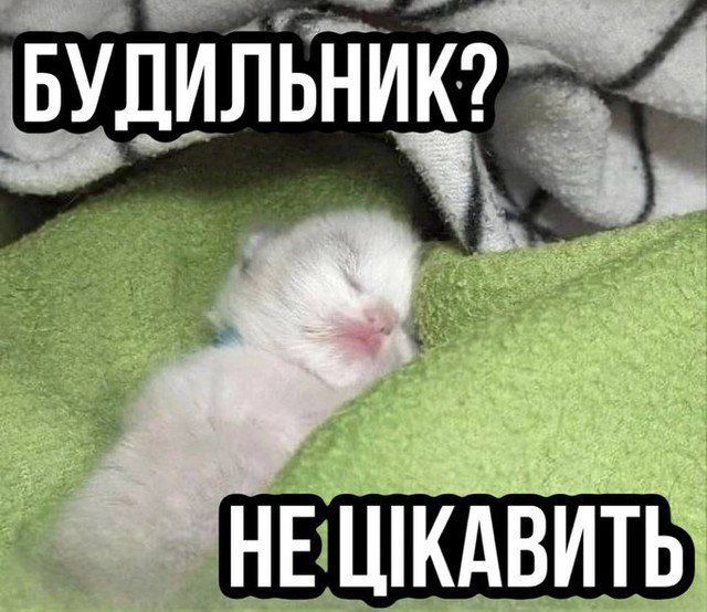 Всемирный день сна — держи мемы о недосыпании и любви ко сну - фото 603312