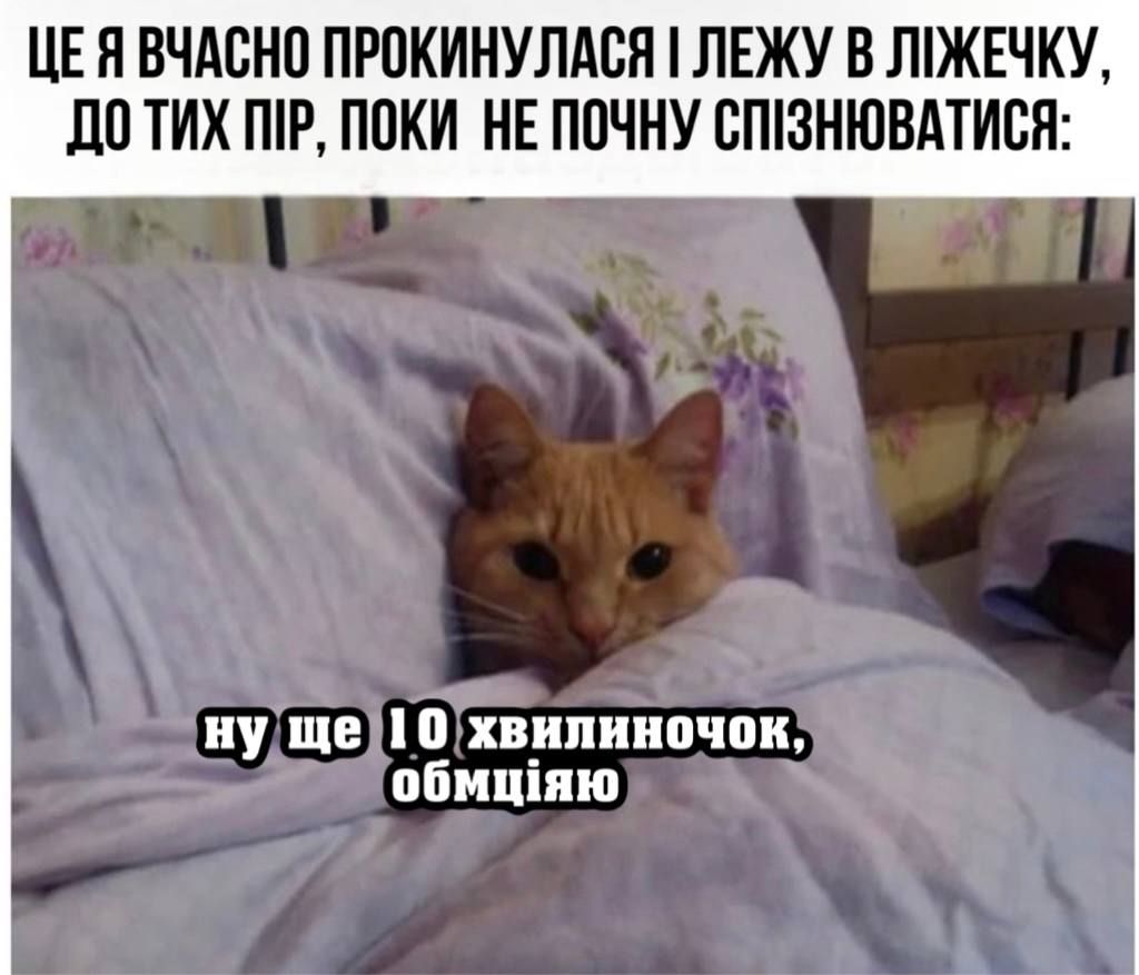 Всемирный день сна — держи мемы о недосыпании и любви ко сну - фото 603317
