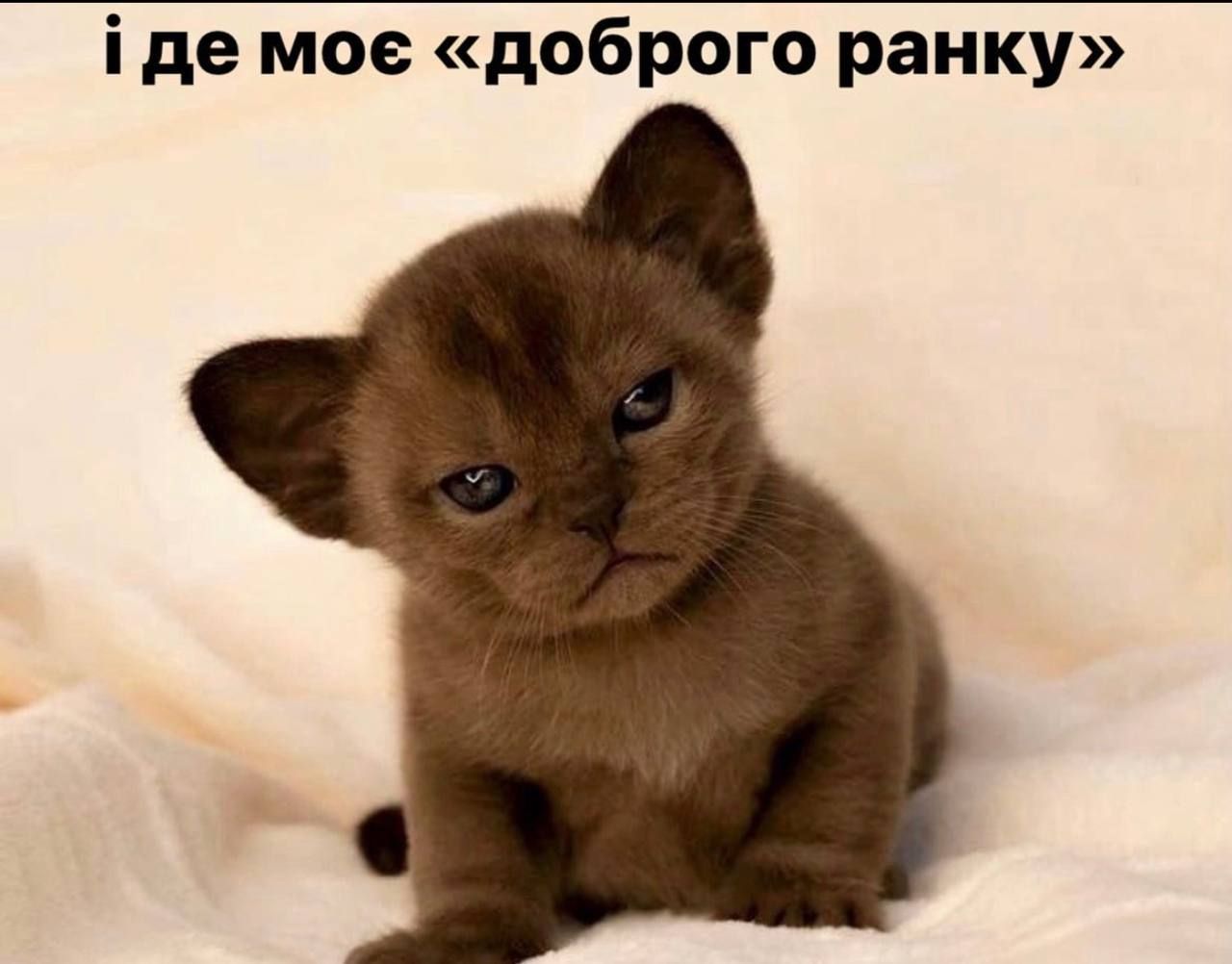 Всемирный день сна — держи мемы о недосыпании и любви ко сну - фото 603318