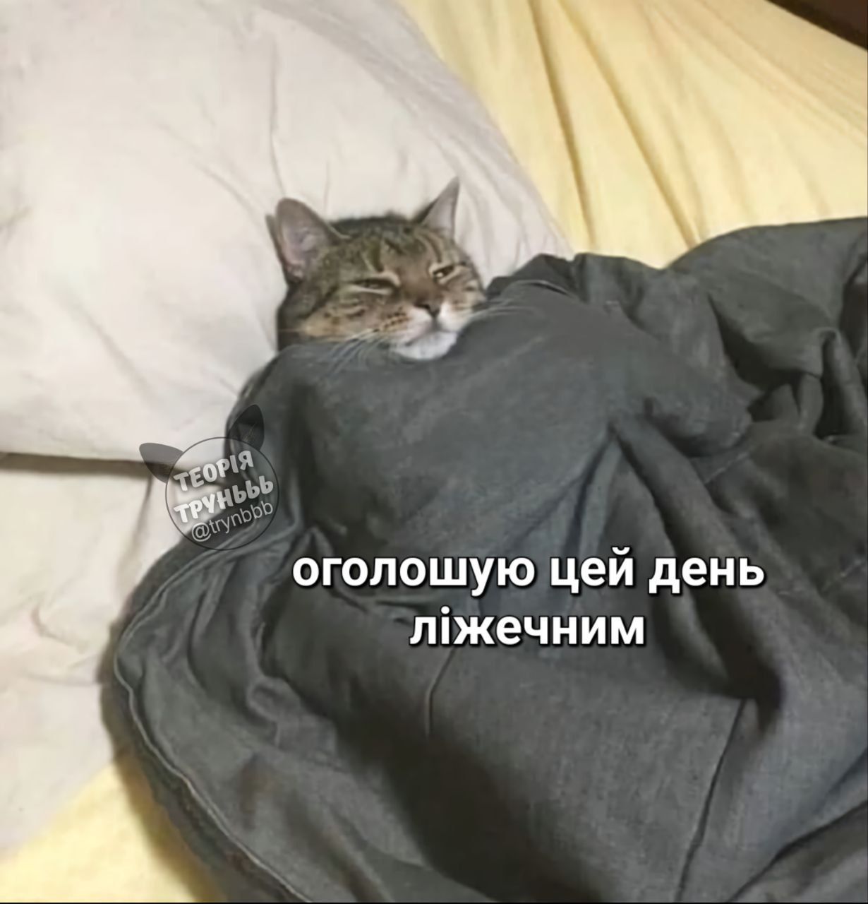 Всемирный день сна — держи мемы о недосыпании и любви ко сну - фото 603321
