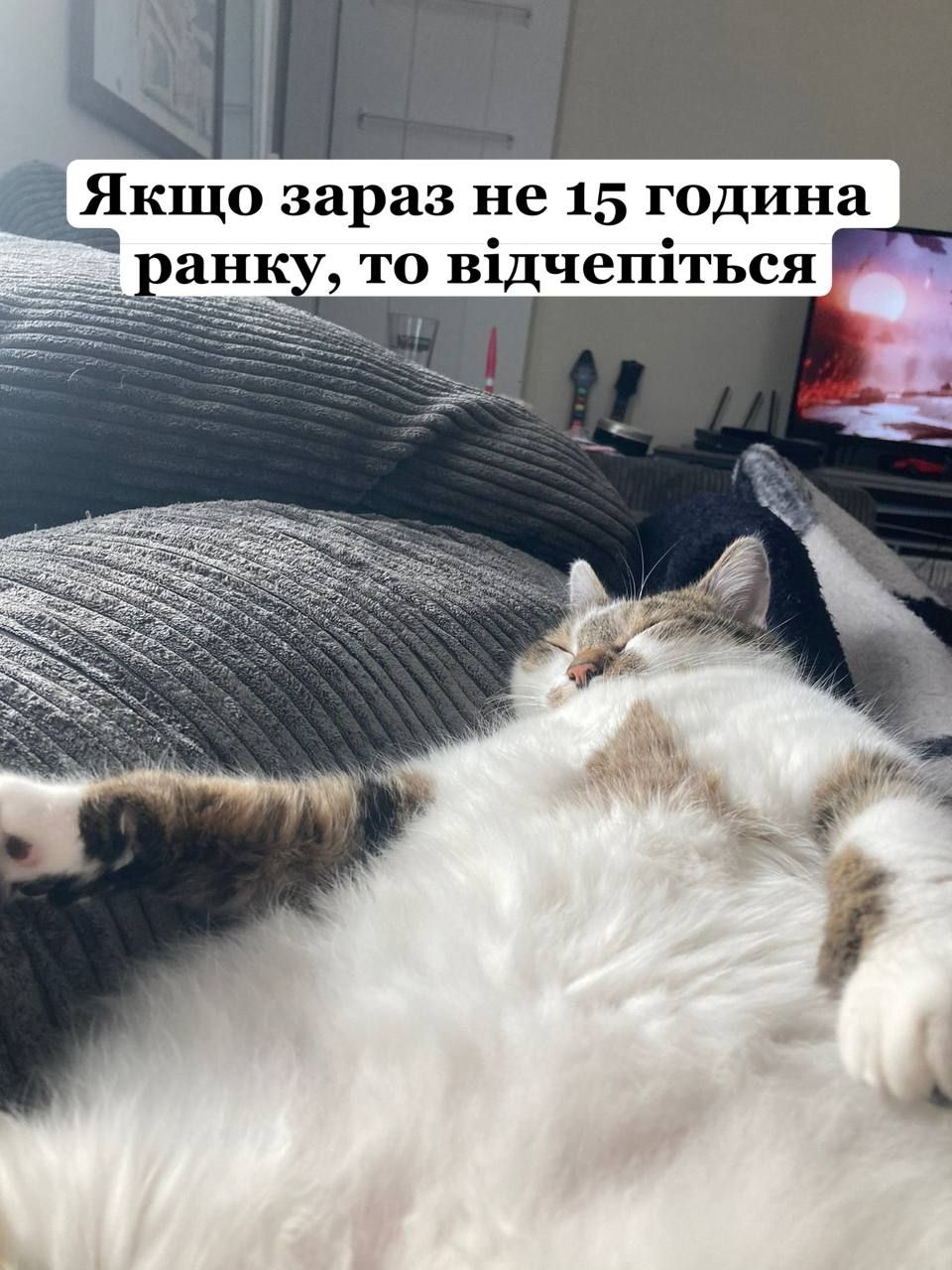 Всемирный день сна — держи мемы о недосыпании и любви ко сну - фото 603325