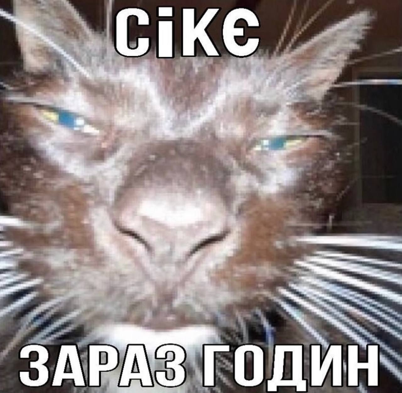 Всемирный день сна — держи мемы о недосыпании и любви ко сну - фото 603326