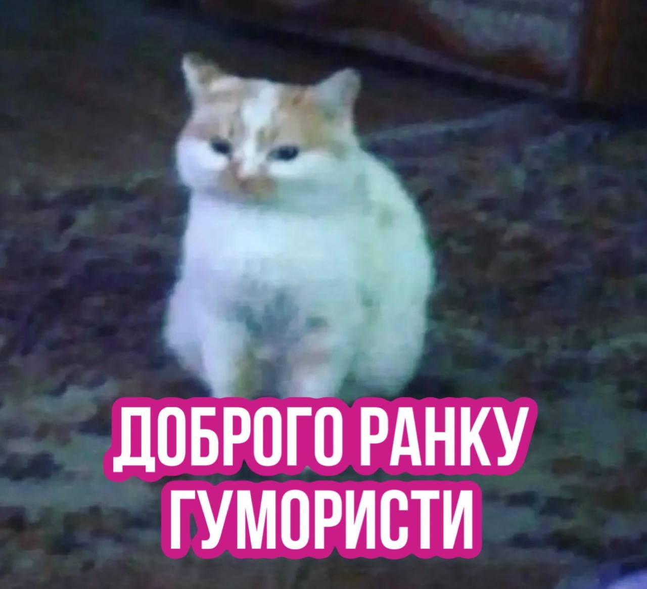Всемирный день сна — держи мемы о недосыпании и любви ко сну - фото 603327