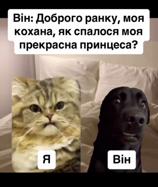 Всемирный день сна — держи мемы о недосыпании и любви ко сну - фото 603330