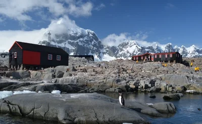 Вакансия не для слабаков: разыскиваются люди, которые будут считать пингвинов в Антарктиде - фото 603767