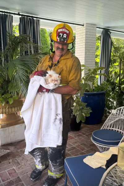 Пожежники врятували котів Кари Делевінь - фото 603786