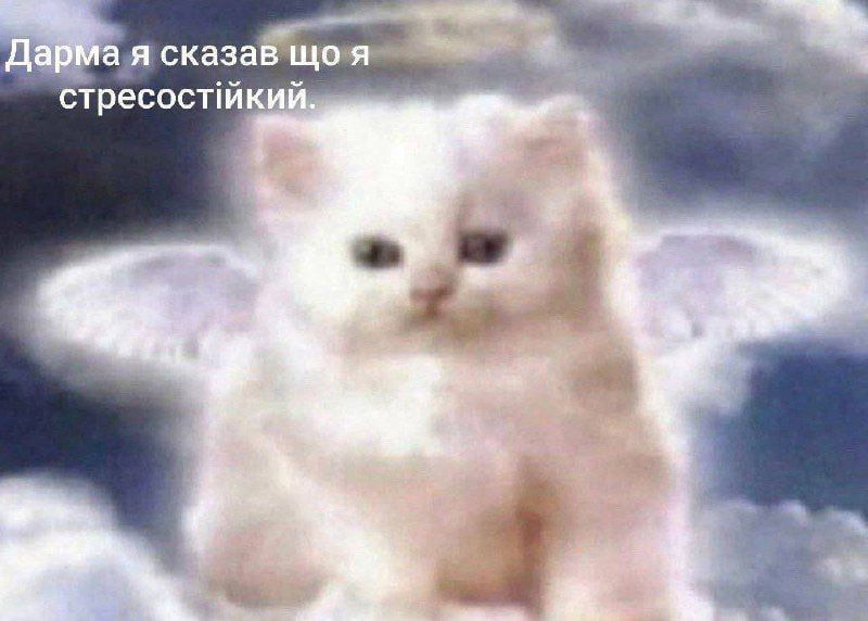Мемы о ментальном здоровье, которые помогают бороться с проблемой с улыбкой на лице - фото 603877