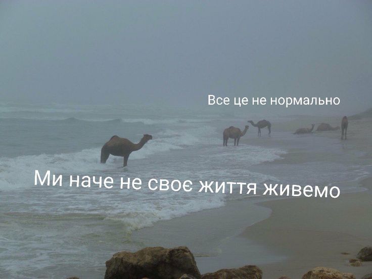 Мемы о ментальном здоровье, которые помогают бороться с проблемой с улыбкой на лице - 603879 Мемы о ментальном здоровье, которые помогают бороться с проблемой с улыбкой на лице - фото 603879