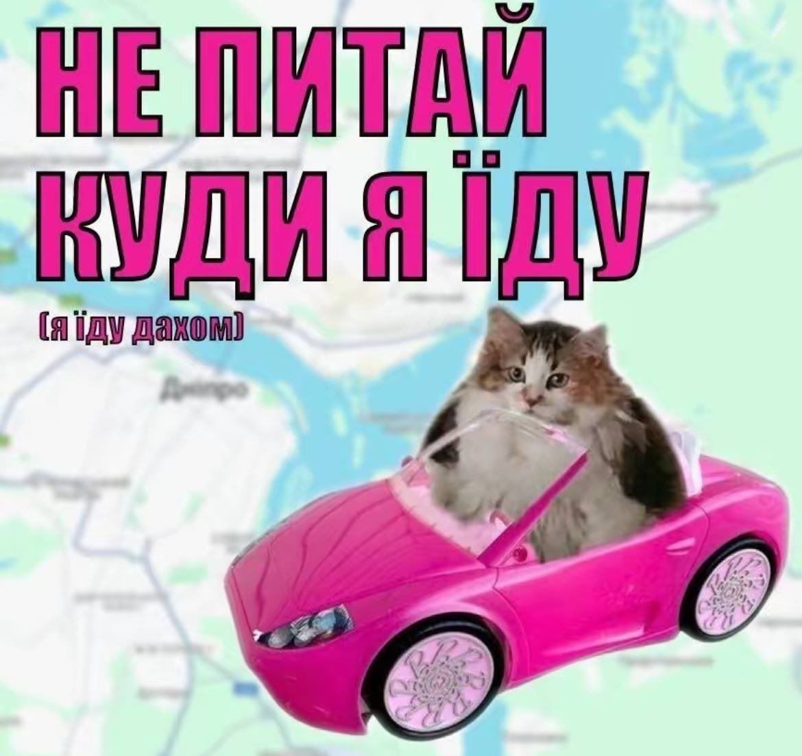 Мемы о ментальном здоровье, которые помогают бороться с проблемой с улыбкой на лице - фото 603881