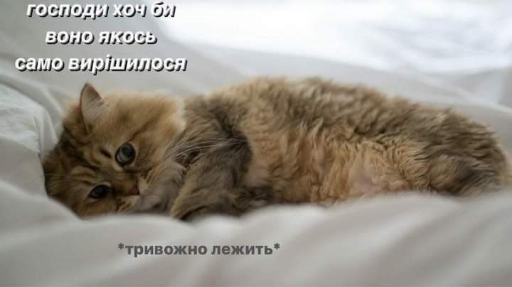 Мемы о ментальном здоровье, которые помогают бороться с проблемой с улыбкой на лице - 603883 Мемы о ментальном здоровье, которые помогают бороться с проблемой с улыбкой на лице - фото 603883