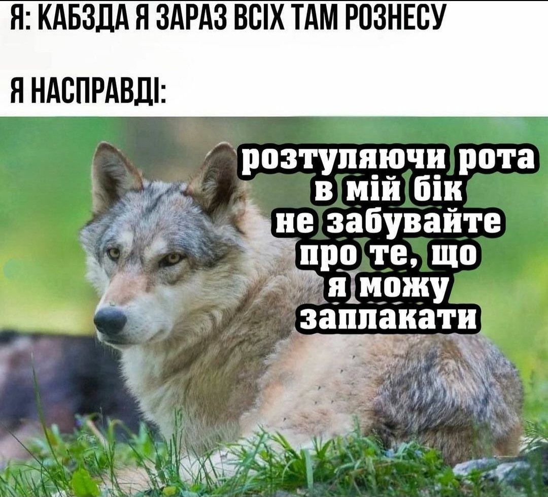 Мемы о ментальном здоровье, которые помогают бороться с проблемой с улыбкой на лице - 603884 Мемы о ментальном здоровье, которые помогают бороться с проблемой с улыбкой на лице - фото 603884
