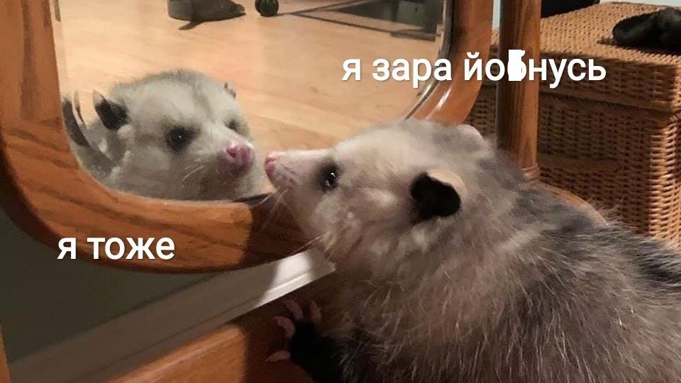 Мемы о ментальном здоровье, которые помогают бороться с проблемой с улыбкой на лице - фото 603885