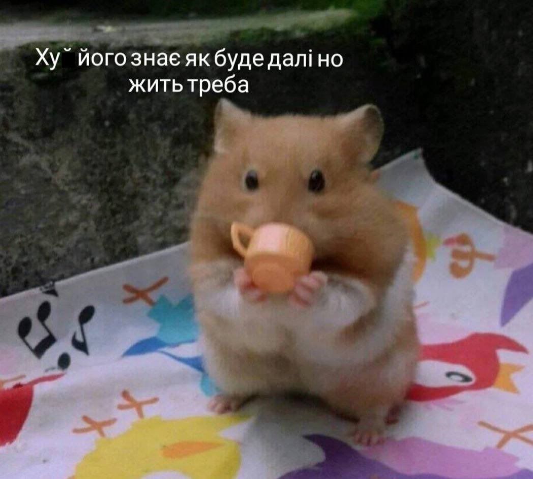 Мемы о ментальном здоровье, которые помогают бороться с проблемой с улыбкой на лице - 603886 Мемы о ментальном здоровье, которые помогают бороться с проблемой с улыбкой на лице - фото 603886