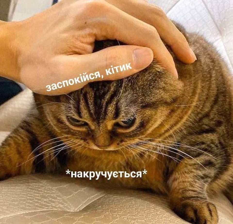 Мемы о ментальном здоровье, которые помогают бороться с проблемой с улыбкой на лице - фото 603890
