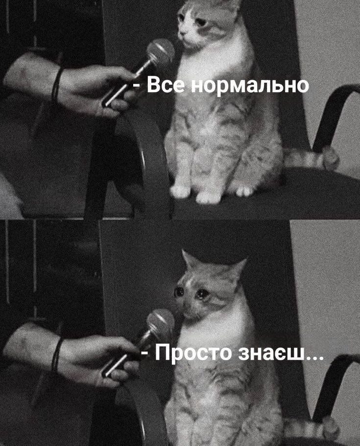 Мемы о ментальном здоровье, которые помогают бороться с проблемой с улыбкой на лице - 603891 Мемы о ментальном здоровье, которые помогают бороться с проблемой с улыбкой на лице - фото 603891