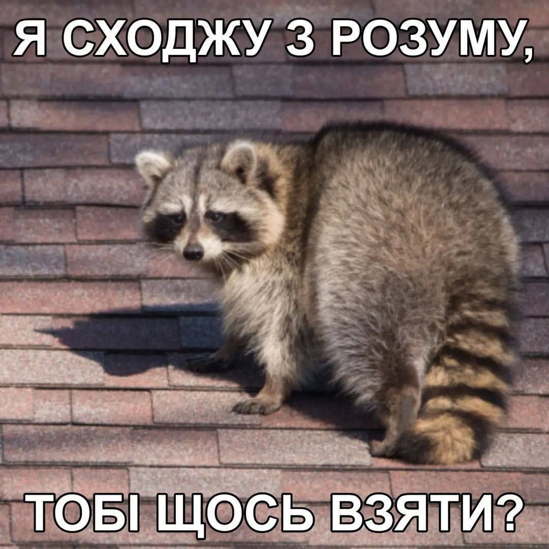 Мемы о ментальном здоровье, которые помогают бороться с проблемой с улыбкой на лице - 603894 Мемы о ментальном здоровье, которые помогают бороться с проблемой с улыбкой на лице - фото 603894