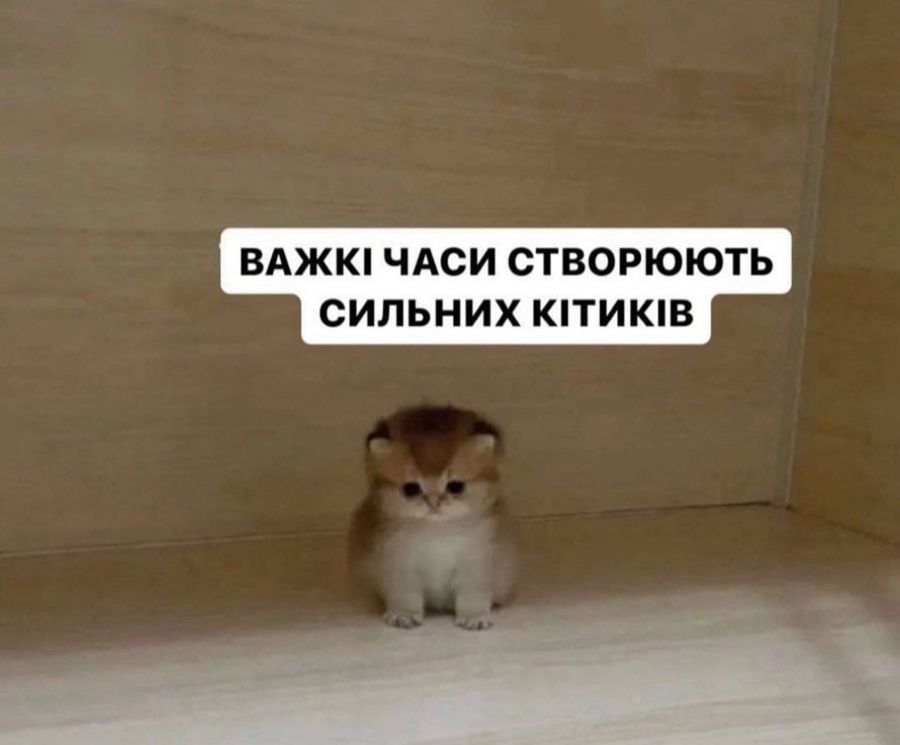 Мемы о ментальном здоровье, которые помогают бороться с проблемой с улыбкой на лице - фото 603895