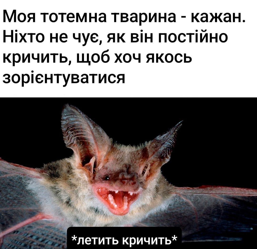 Мемы о ментальном здоровье, которые помогают бороться с проблемой с улыбкой на лице - 603896 Мемы о ментальном здоровье, которые помогают бороться с проблемой с улыбкой на лице - фото 603896