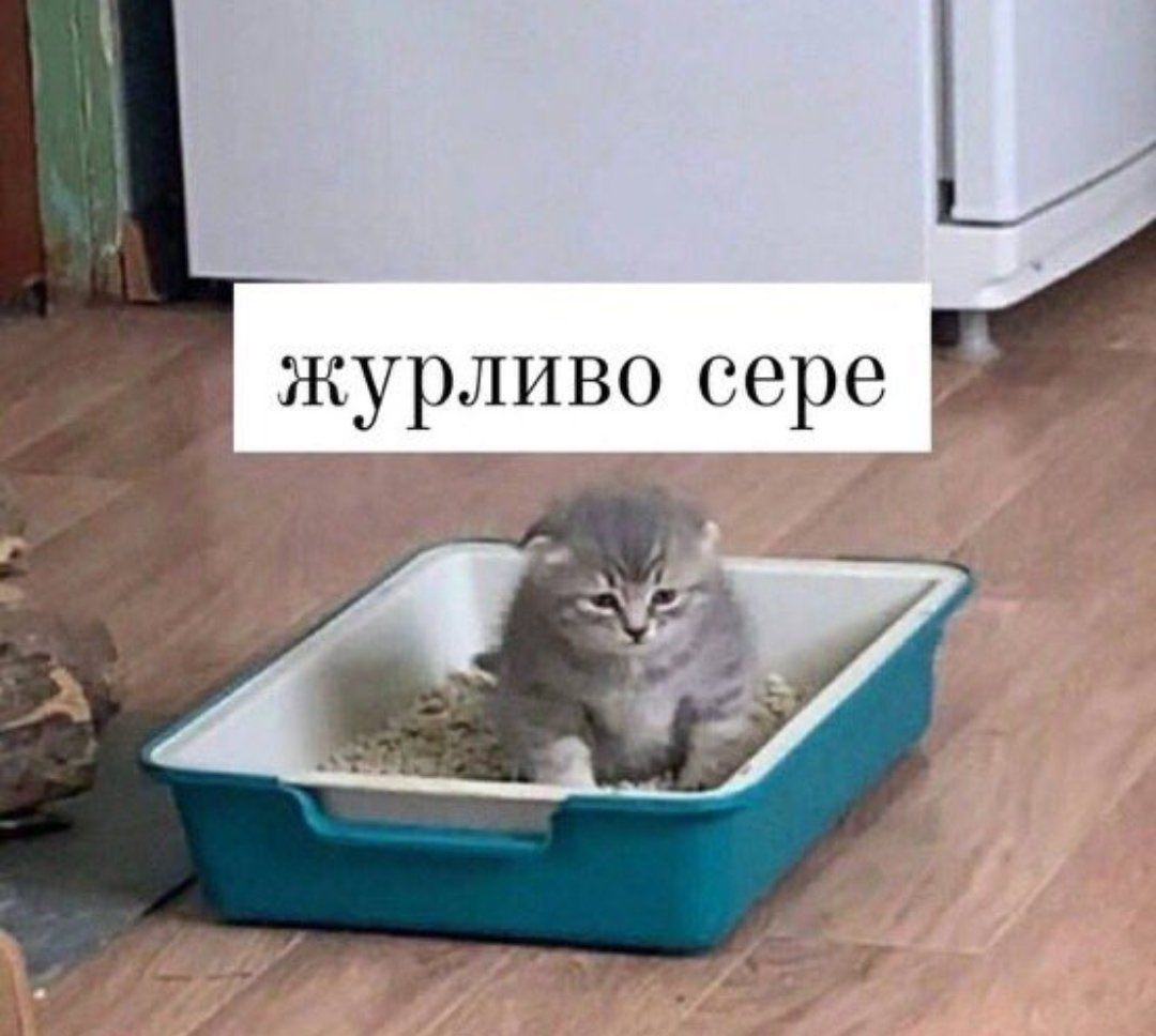 Мемы о ментальном здоровье, которые помогают бороться с проблемой с улыбкой на лице - фото 603897