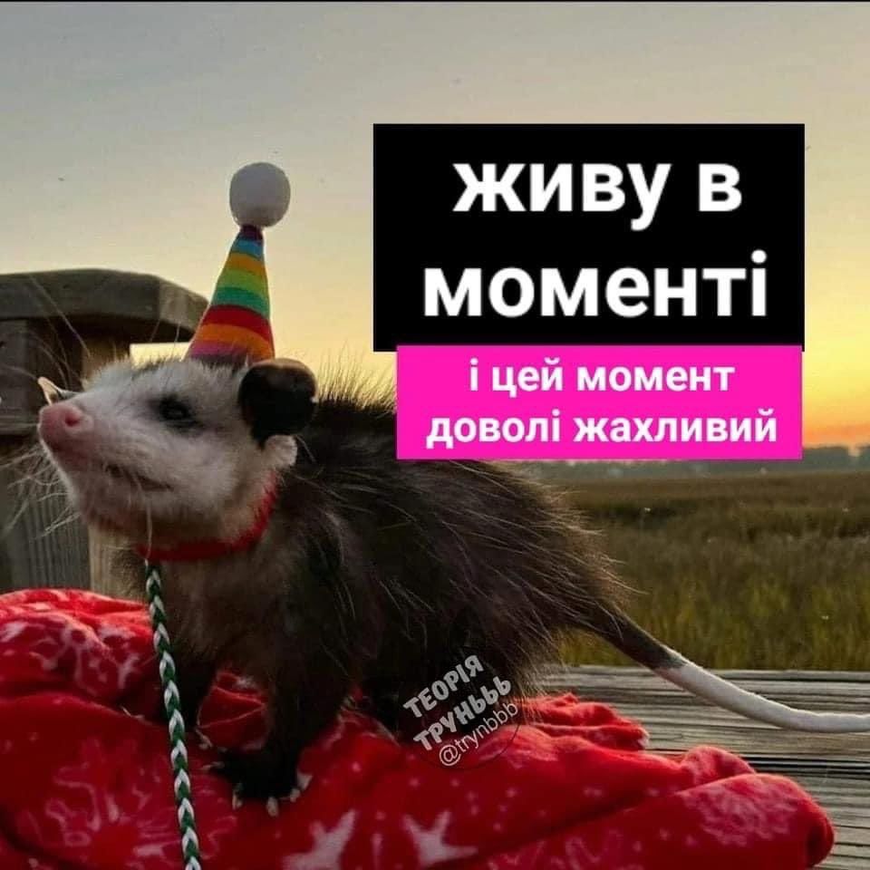 Мемы о ментальном здоровье, которые помогают бороться с проблемой с улыбкой на лице - фото 603900