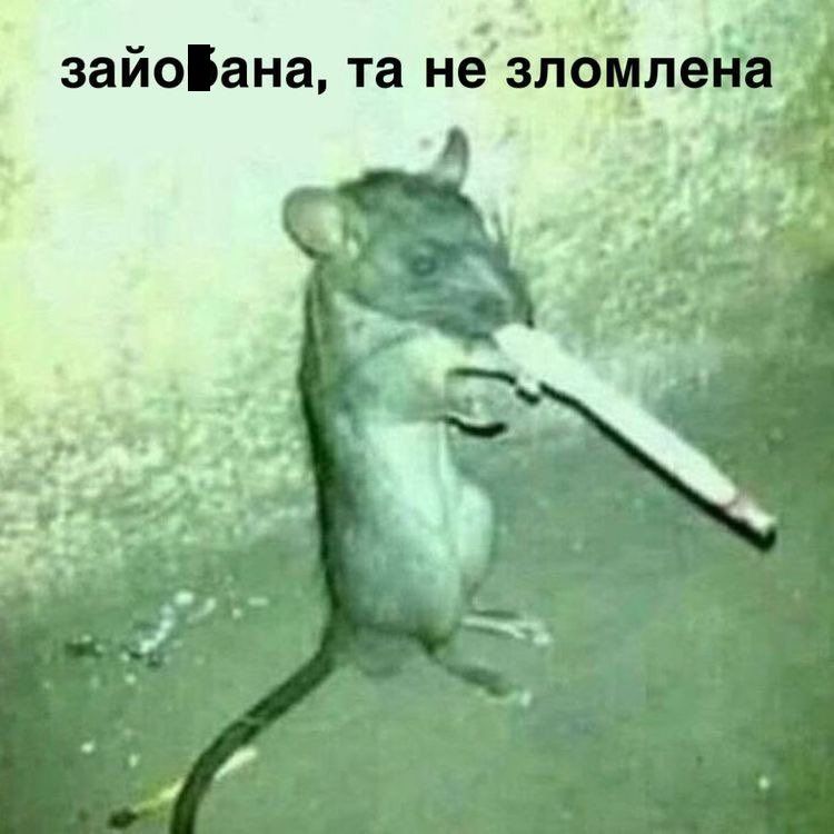 Мемы о ментальном здоровье, которые помогают бороться с проблемой с улыбкой на лице - фото 603901