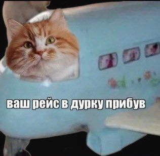 Мемы о ментальном здоровье, которые помогают бороться с проблемой с улыбкой на лице - фото 603902