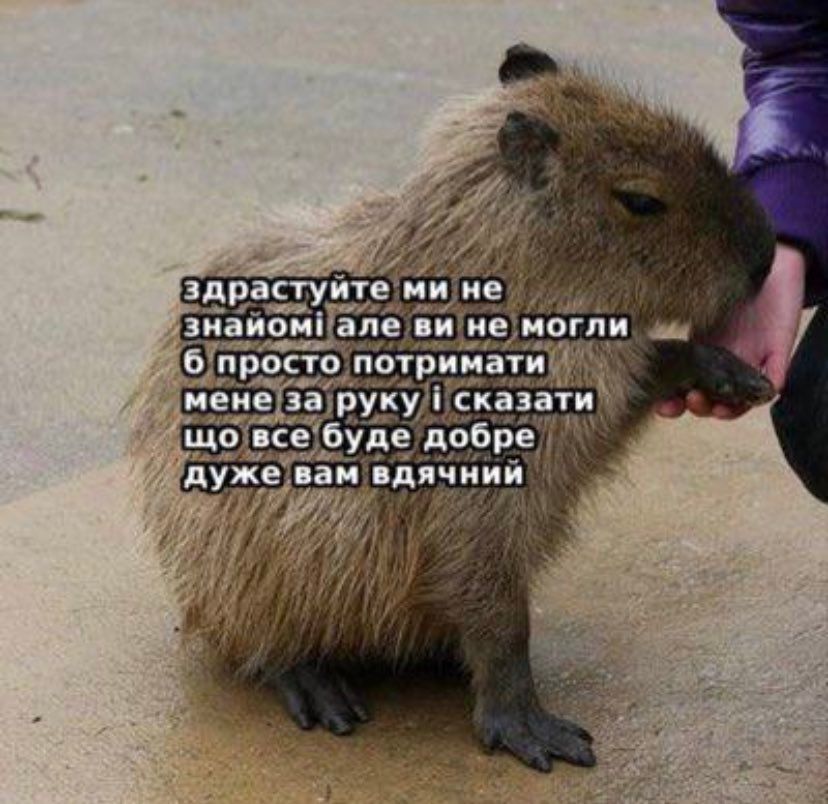 Мемы о ментальном здоровье, которые помогают бороться с проблемой с улыбкой на лице - фото 603908