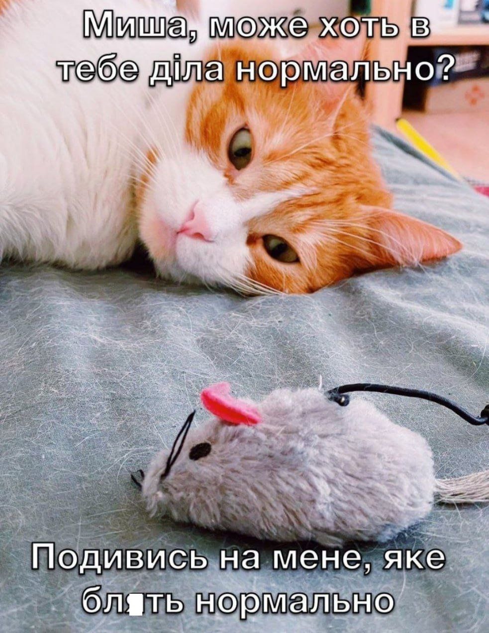 Мемы о ментальном здоровье, которые помогают бороться с проблемой с улыбкой на лице - фото 603909
