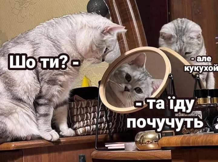 Мемы о ментальном здоровье, которые помогают бороться с проблемой с улыбкой на лице - 603910 Мемы о ментальном здоровье, которые помогают бороться с проблемой с улыбкой на лице - фото 603910