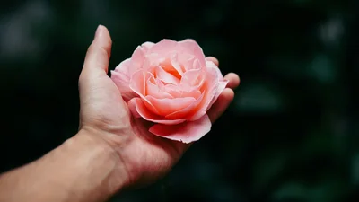 День ангела Олександри 2024: привітання іменинницям з їх днем