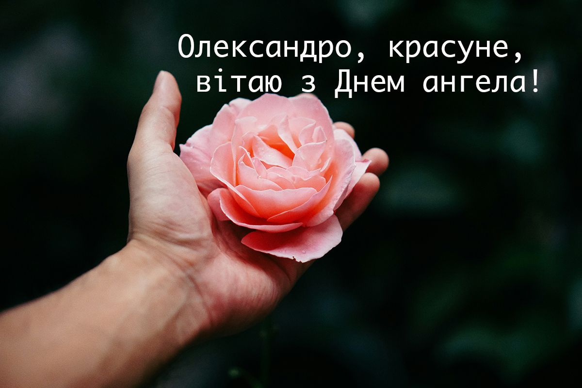 Іменини Олександри 2024 картинки - фото 604390