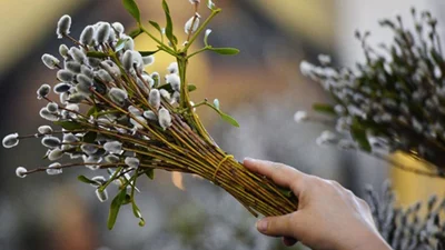 Вербное воскресенье 2024: что нельзя делать в большой праздник