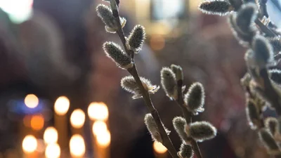 Вербна неділя 2025: душевні привітання в картинках і віршах