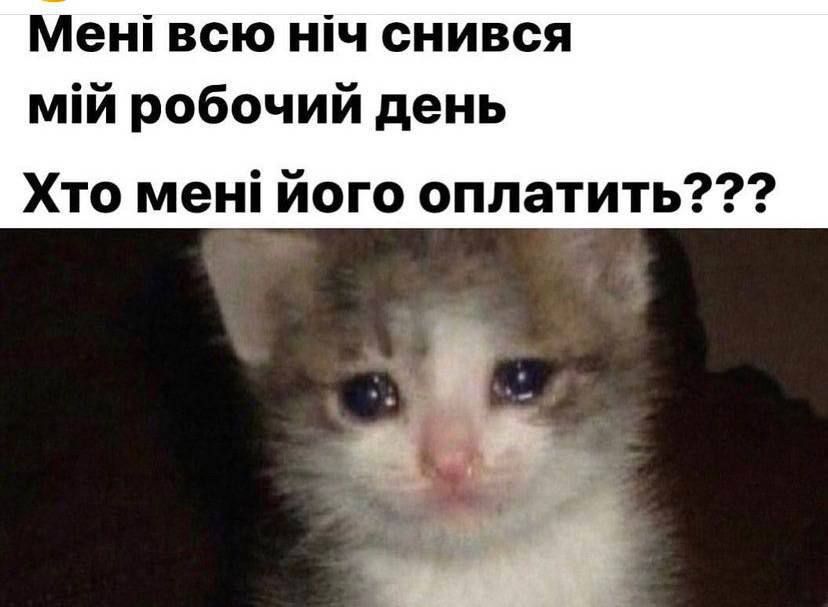 Мемы о работе, которые поднимут тебе настроение в рабочий понедельник - 605255 Мемы о работе, которые поднимут тебе настроение в рабочий понедельник - фото 605255