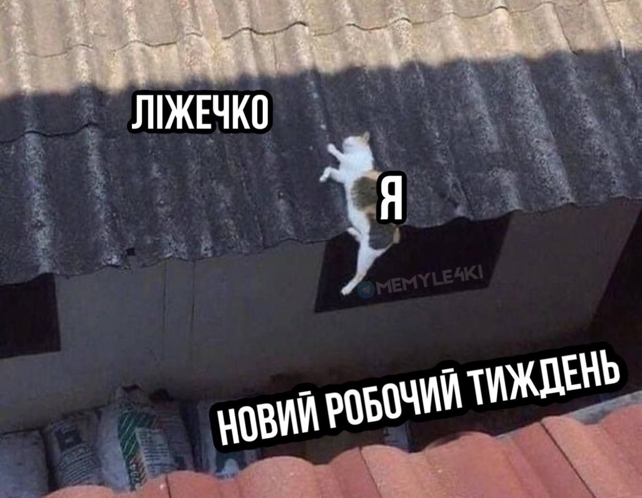 Мемы о работе, которые поднимут тебе настроение в рабочий понедельник - 605259 Мемы о работе, которые поднимут тебе настроение в рабочий понедельник - фото 605259