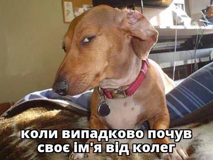 Мемы о работе, которые поднимут тебе настроение в рабочий понедельник - 605267 Мемы о работе, которые поднимут тебе настроение в рабочий понедельник - фото 605267