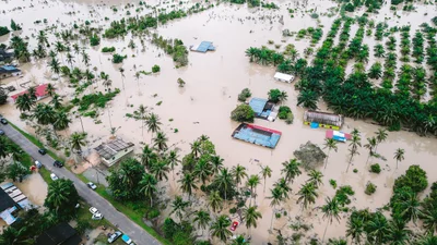 В Google научили ИИ предсказывать стихийные бедствия